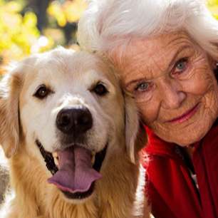 Pawbiotix Customer Reviews First Person